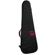 Reunion Blues Aero Series Bass Guitar Ca...: Picture 1 thumbnail