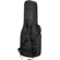 Reunion Blues RBX 2x Guitar Gig Bag: Picture 1 thumbnail