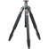 Redged RTA-428 Steady 4-Section Aluminum Tripod, Max Height 63", Supports 26 lbs: Picture 1 thumbnail