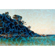 Revolog Plexus: Picture 3 thumbnail