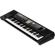 Roland BK-5: Picture 1 thumbnail