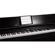 Roland DP603: Picture 5 thumbnail