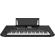 Roland E-X50: Picture 4 thumbnail