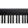 Roland FP-10: Picture 14 thumbnail