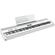 Roland FP-90X: Picture 4 thumbnail
