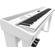 Roland FP-90X: Picture 9 thumbnail
