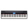 Roland GO-61P GO:PIANO 61-Keys Digital Piano