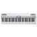 Roland GO:Piano: Picture 3 thumbnail