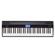 Roland GO-61P GO:PIANO OB: Picture 1 thumbnail