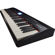 Roland GO-61P GO:PIANO: Picture 3 thumbnail