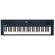 Roland GO:KEYS 3 61-Key Music Creation K...: Picture 4 thumbnail