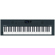 Roland GO:KEYS 5 61-Key Music Creation K...: Picture 3 thumbnail