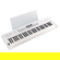Roland GO:KEYS 5 61-Key Music Creation K...: Picture 2 thumbnail