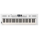 Roland GO:KEYS 5 61-Key Music Creation K...: Picture 3 thumbnail