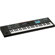 Roland JUNO-DS61: Picture 3 thumbnail