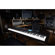 Roland JUNO-DS88: Picture 6 thumbnail