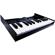 Roland K-25m: Picture 2 thumbnail