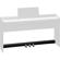 Roland KPD-70 Pedal Unit for FP-30 Digital Piano, Black