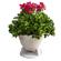 Rockustics OmniPlanter: Picture 4 thumbnail