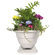 Rockustics OmniPlanter: Picture 1 thumbnail
