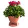 Rockustics OmniPlanter: Picture 3 thumbnail