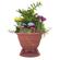Rockustics OmniPlanter: Picture 1 thumbnail