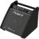 Roland PM-100: Picture 2 thumbnail