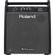 Roland PM-200: Picture 1 thumbnail