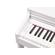 Roland RP701: Picture 6 thumbnail