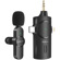 RGB Voice UC04: Picture 1 thumbnail