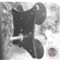 RigWheels Kit 4 Car Suction Mount: Picture 1 thumbnail