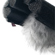 Rycote Duck-WSAE: Picture 3 thumbnail