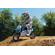 Razor MX350: Picture 2 thumbnail