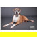 Savage 107"x36' Background Paper: Picture 6 thumbnail