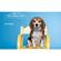 Savage 107"x36' Background Paper: Picture 6 thumbnail
