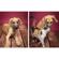 Savage Seamless Background Paper: Picture 4 thumbnail
