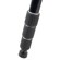 Studio Assets Photo Tripod: Picture 3 thumbnail