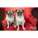 Savage Seamless Background Paper: Picture 1 thumbnail