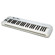 Samson ICON Digital Samson Carbon 49 USB MIDI K...: Picture 1 thumbnail