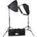 Savage LED Portrait Kit: Picture 1 thumbnail
