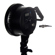 Savage RGB Portrait Kit: Picture 4 thumbnail