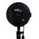 Savage RGB Portrait Kit: Picture 5 thumbnail