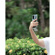Saramonic SmartMic MTV11 UC: Picture 5 thumbnail