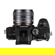 7artisans 35mm f/1.4 Mark III Lens: Picture 11 thumbnail