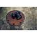 7artisans Photoelectric 50mm f/0.95: Picture 11 thumbnail