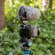 Saramonic Vmic5: Picture 5 thumbnail