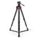 Sachtler Ace XL MKII + Flowtech 75: Picture 1 thumbnail