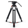 Sachtler Cine 50 + Cine 150 L: Picture 3 thumbnail