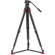 Sachtler FSB 4: Picture 2 thumbnail