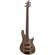 Schecter C-5 Apocalypse: Picture 1 thumbnail
